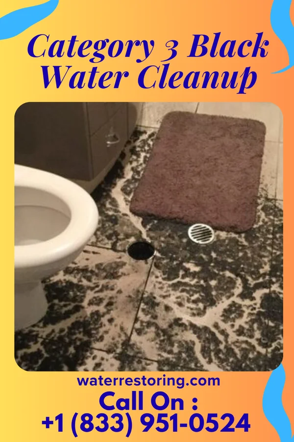Category 3 Black Water Cleanup in Dacoma, OK