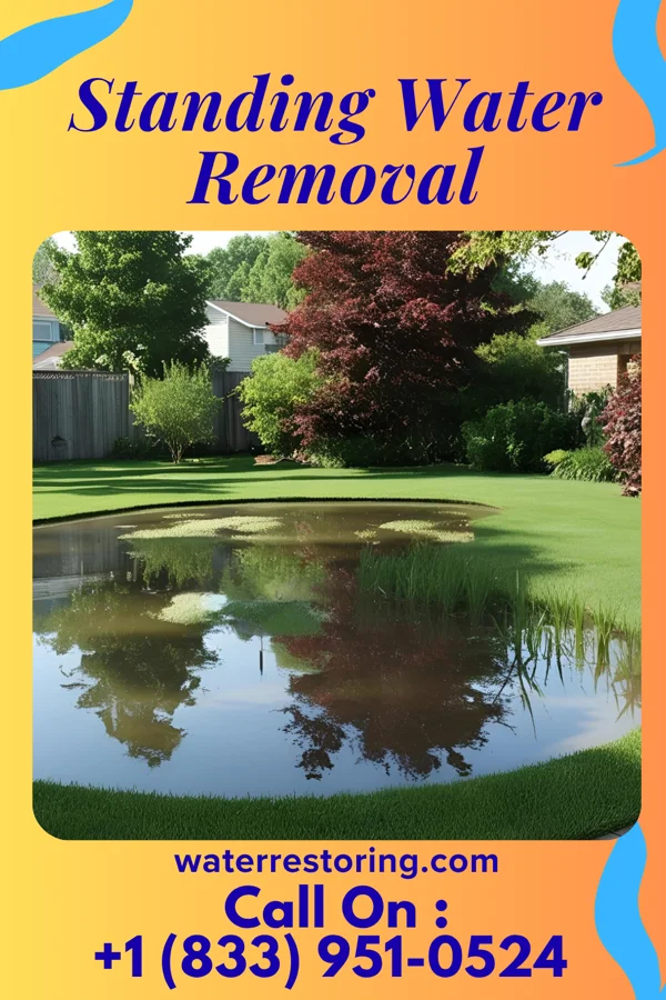 Standing Water Removal in Dacoma, OK